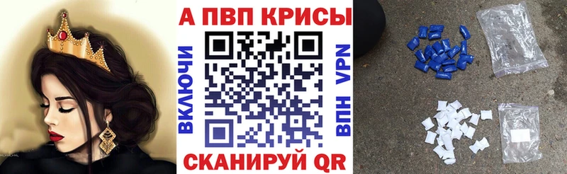 A-PVP СК  Прокопьевск 