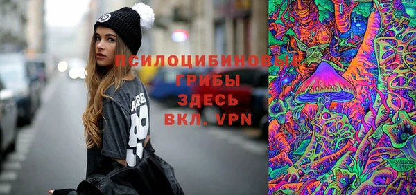 2c-b Абдулино