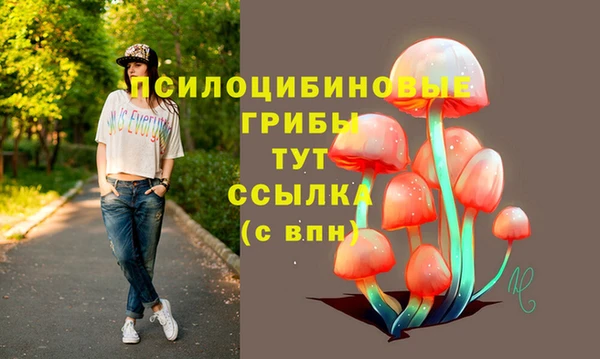 2c-b Абдулино