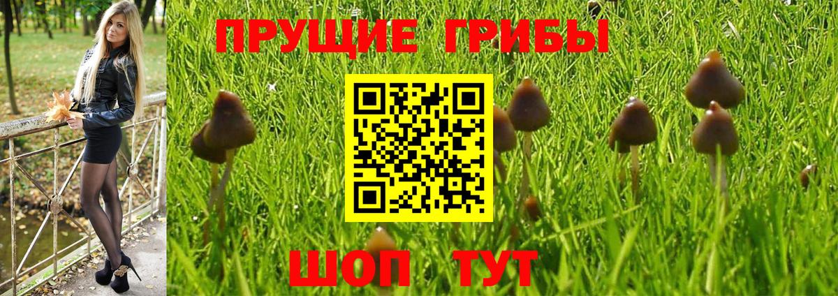 Прокопьевск  Галлюциногенные грибы ЛСД  Псилоцибиновые грибы мицелий  Вход с VPN 
