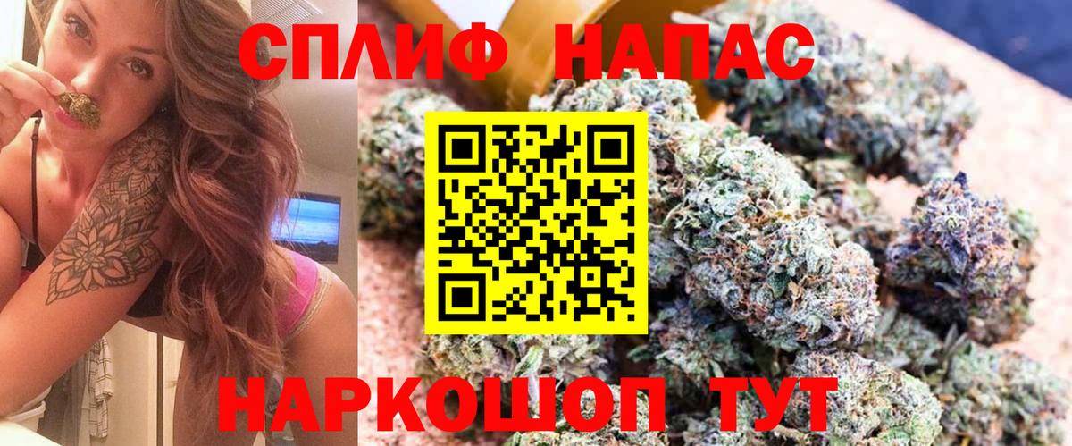 Бошки Шишки конопля Прокопьевск